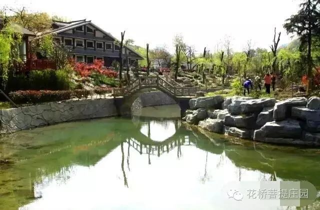 這個周末，隴南康縣花橋有大事要發(fā)生？
