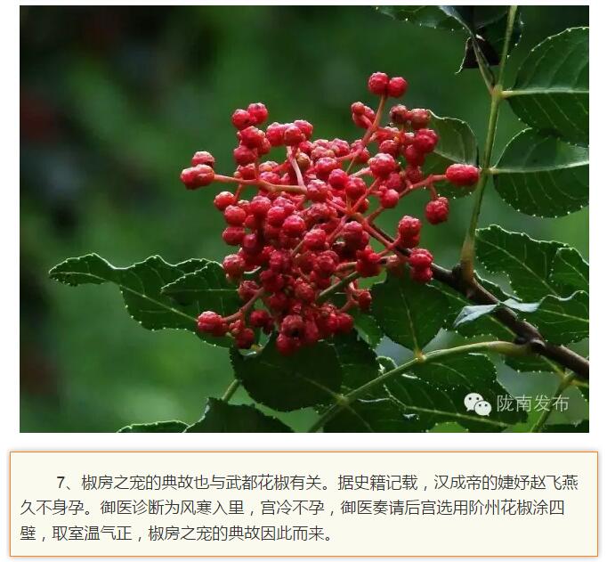 蘭渝鐵路最早由孫中山先生提出？在隴南，你不知道的事兒還有……