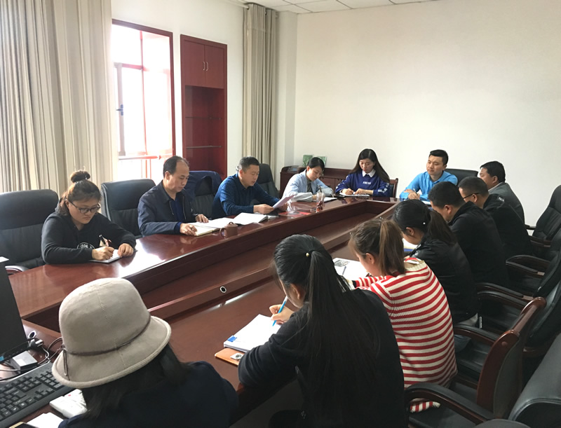 市龍江城鄉(xiāng)發(fā)展集團專題學(xué)習(xí)近期中央、省、市紀律檢查委員會議精神